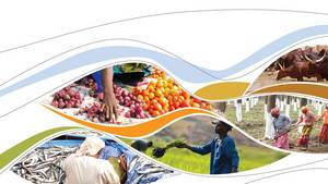 Financial Assistance Scheme for the Agriculture and Fisheries Export Enterprises to Move Up in the Value Chain